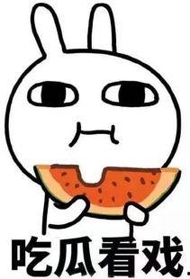 吃瓜看戏素材视频大全,揭秘热门素材视频背后的故事