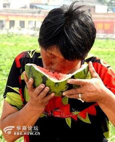 广西吃瓜老太太视频大全,趣味横生的乡村生活剪影