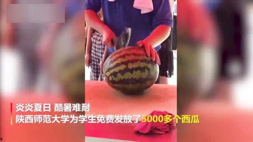 吃瓜视频大肥腿,吃瓜视频中的热门话题解析