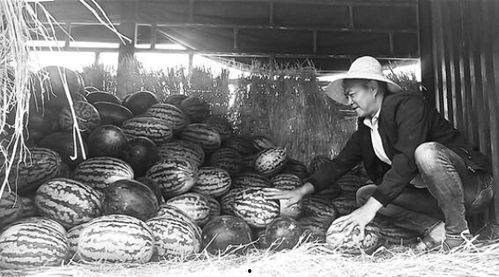 水城广场吃瓜群众事件视频,现场实况引发热议