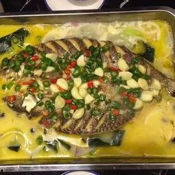 卖鱼吃瓜的视频,一场别开生面的卖鱼吃瓜直播盛宴