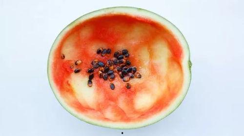 紫砂城吃瓜事件真相视频,揭秘真相背后的惊人内幕