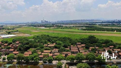 三水乐平吃瓜视频,趣味横生的夏日盛宴