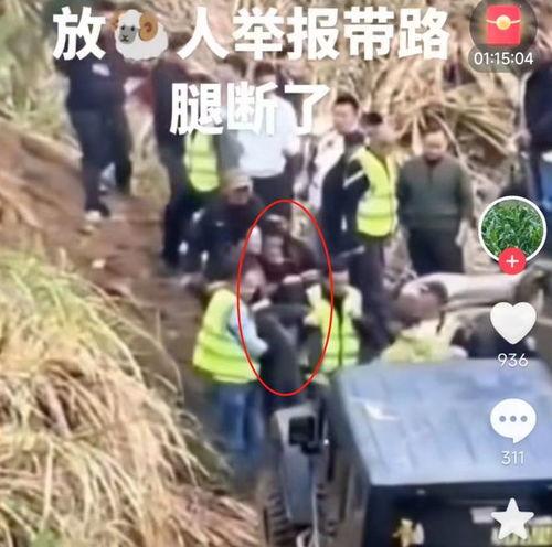 路边吃瓜跳桥视频大全集,惊险瞬间！路边吃瓜跳桥视频大全集回顾