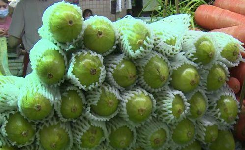 大象吃葫芦瓜视频大全